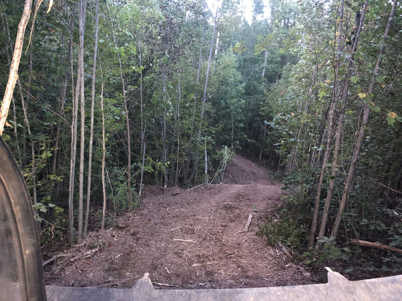 New trail being cut through wooded area